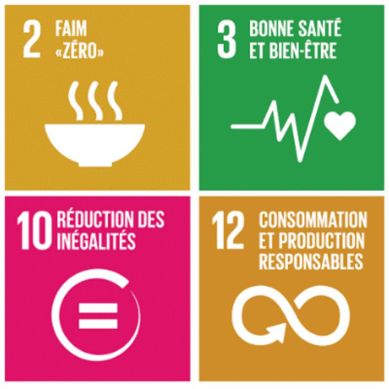 Les 17 objectifs de développement durable (ODD)